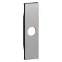 Bticino Living Now KS08 Cover Steel per presa TV e falso polo con foro, 1 posto, MADE IN ITALY